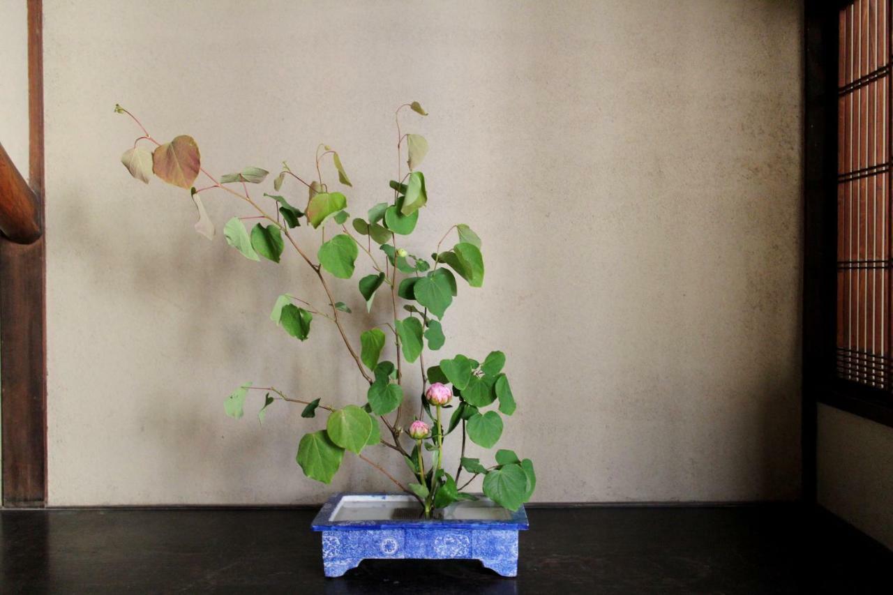 Bed & Breakfast Tsukiya เกียวโต ภายนอก รูปภาพ